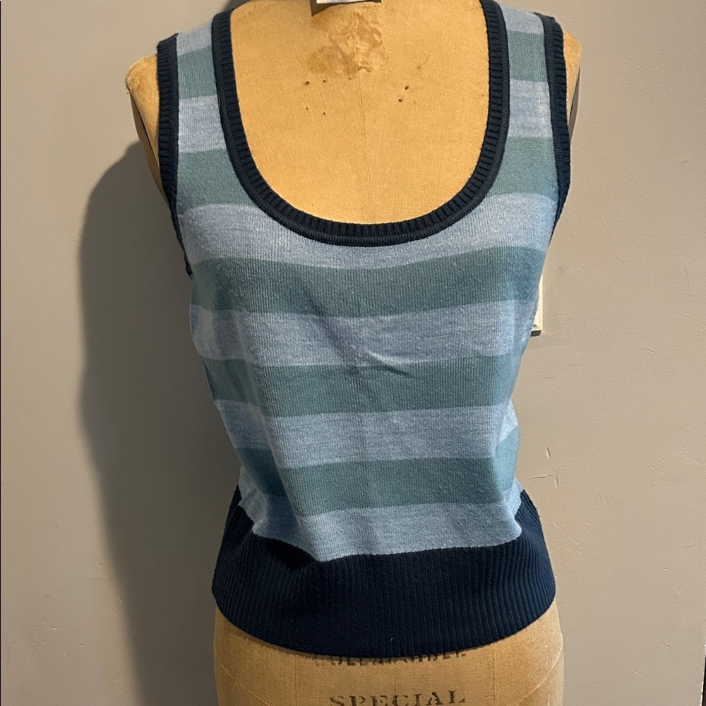 Blue Stripe Knit Top
